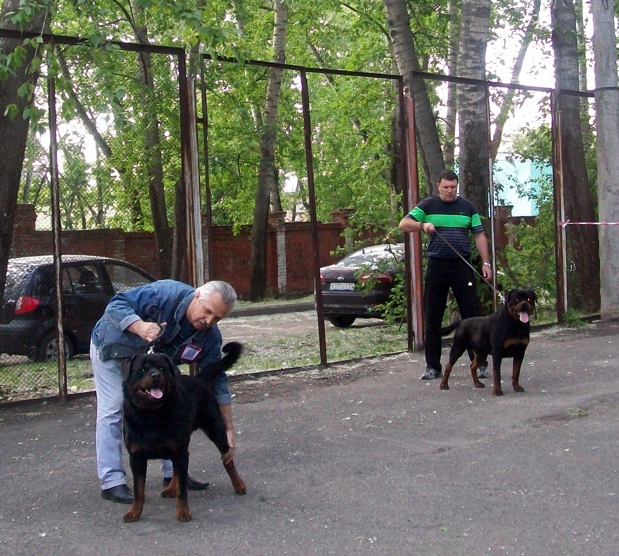 сссссссс