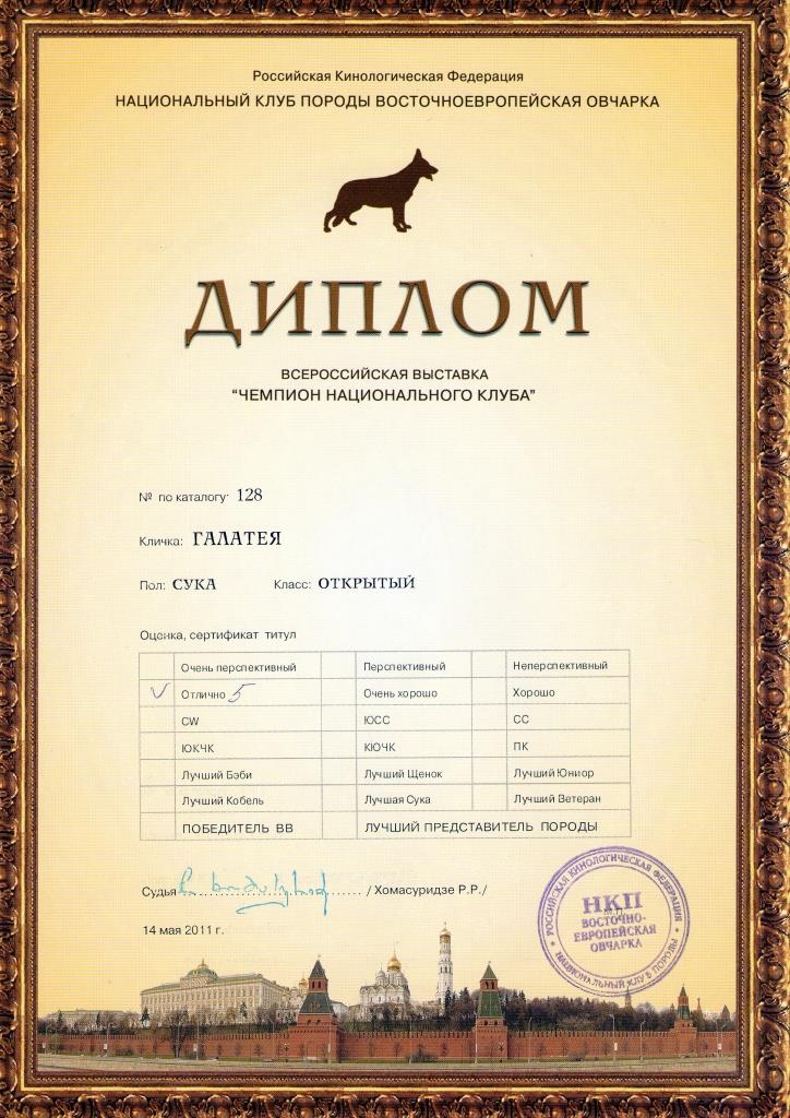 img164 — копия