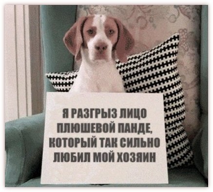 By5CqBsS44k