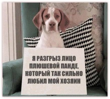 By5CqBsS44k