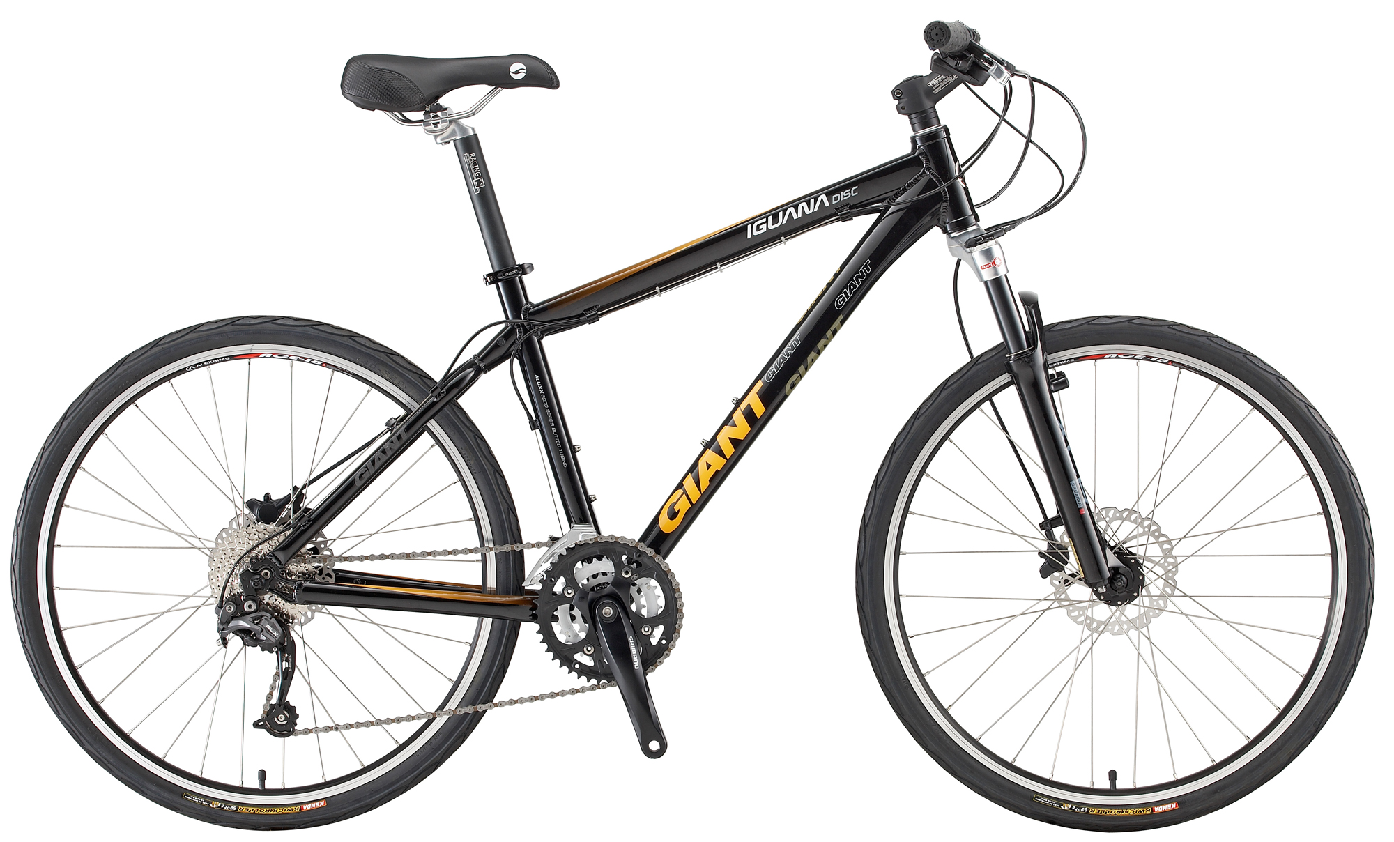 09IGUANA-DISC BLACK