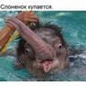 слоник