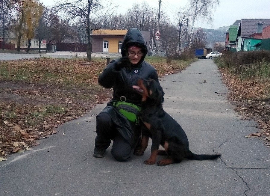 д