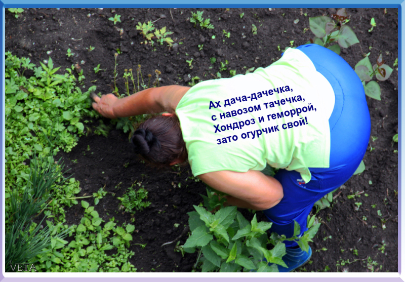 Пара дней на даче и дырочка натрахана на месяц