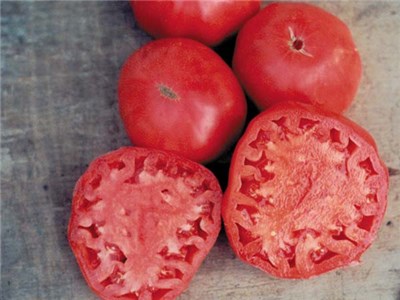 Tomato-Brandywine-TK115-web-2