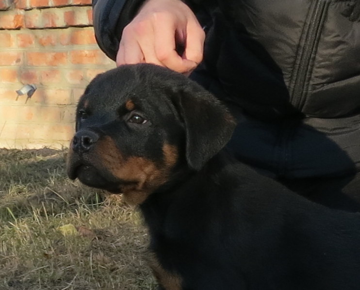 ее