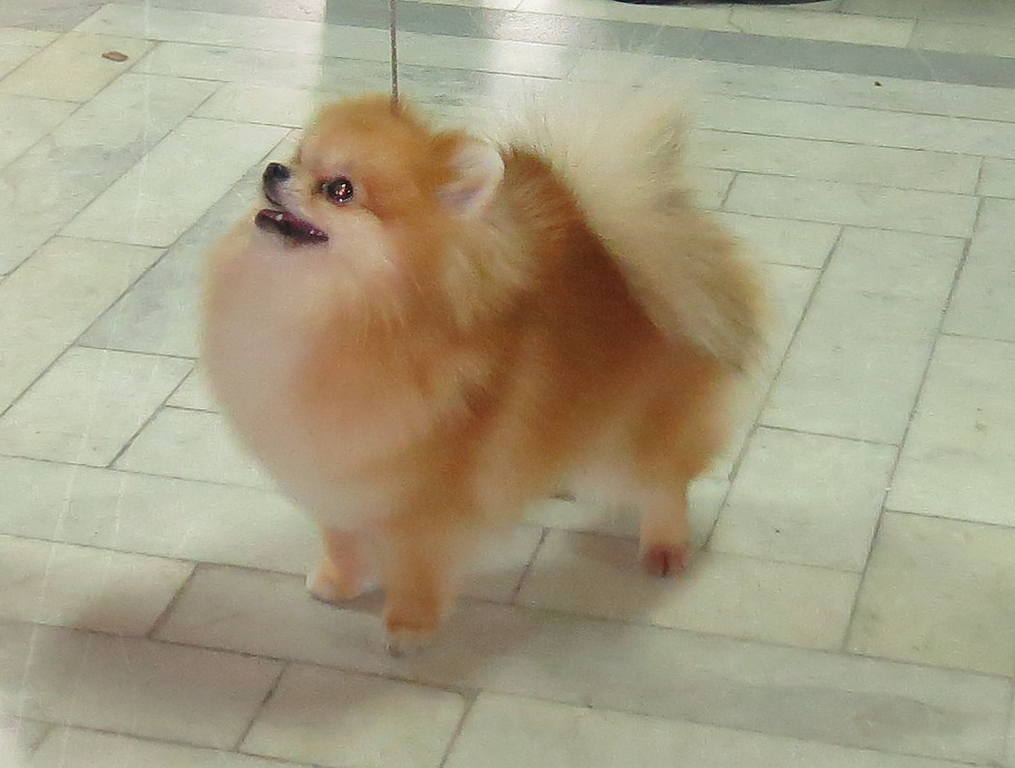 ббббббббб
