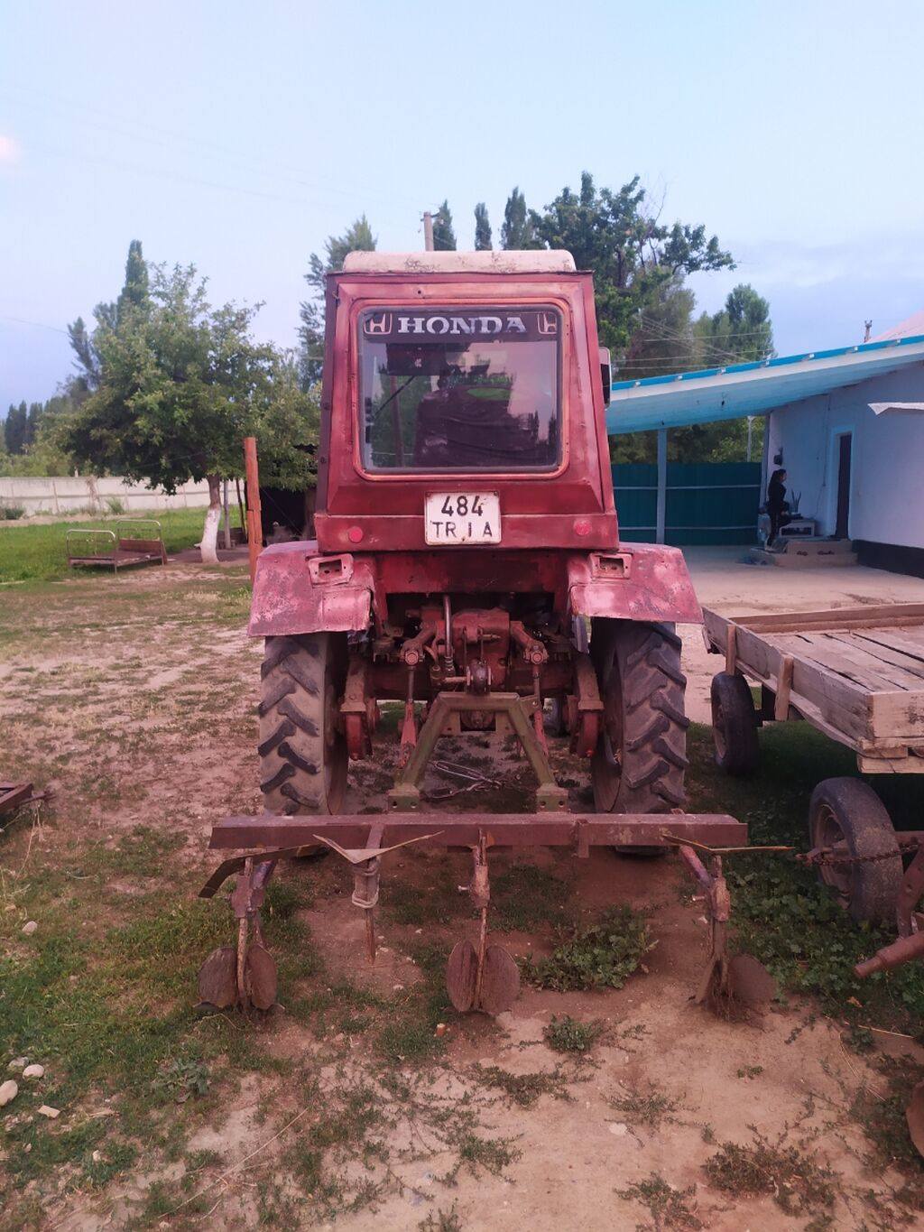 484 TRIA
