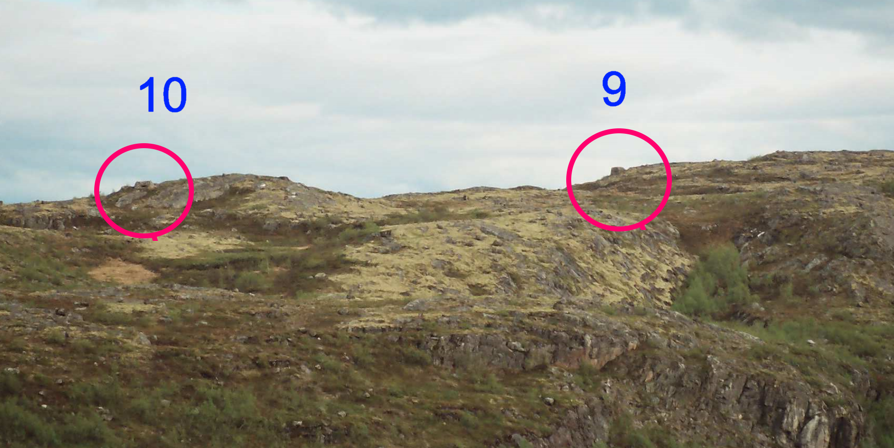 D 9 D 10