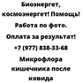Микрофлора кишечника после ковида