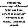 Мышцы шеи после ковида