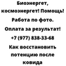 Как восстановить потенцию после ковида