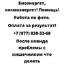 После ковида проблемы с кишечником что делать