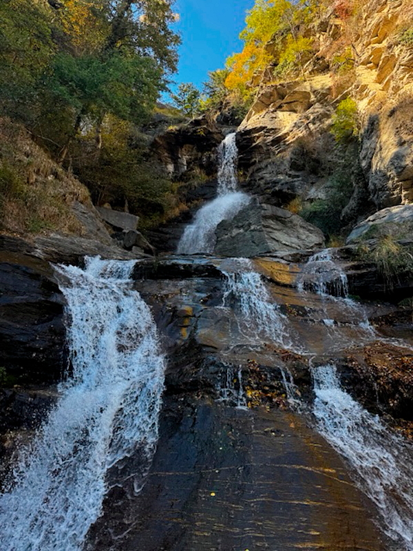 https://images.vfl.photos/ii/1793465063/df116578/40421782.jpg